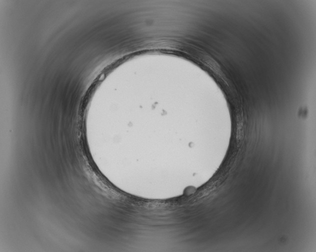 X0000113991116200911131111