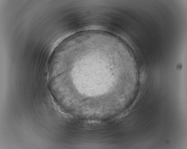 X0000113991117200911131111