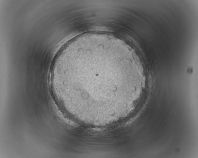 X0000113991125200911131112