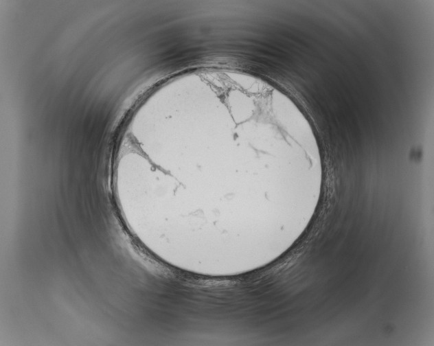 X0000113991131200911131112