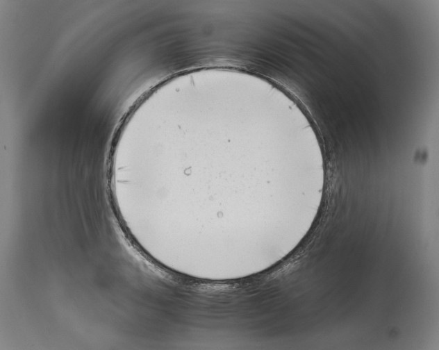 X0000113991135200911131112