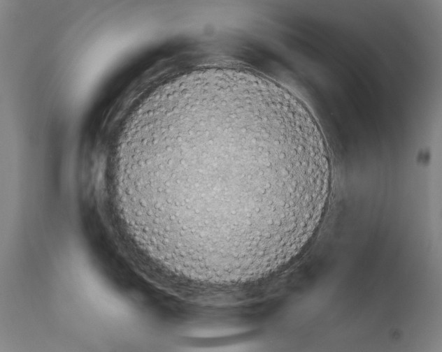 X0000113991150200911131112