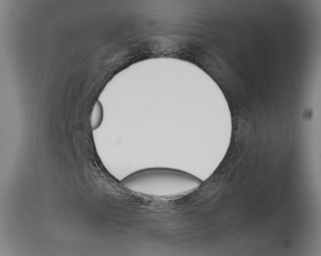 X0000113991153200911131111