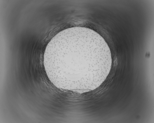 X0000113991156200911131111