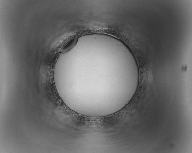 X0000113991157200911131111