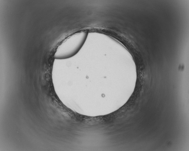 X0000113991159200911131111