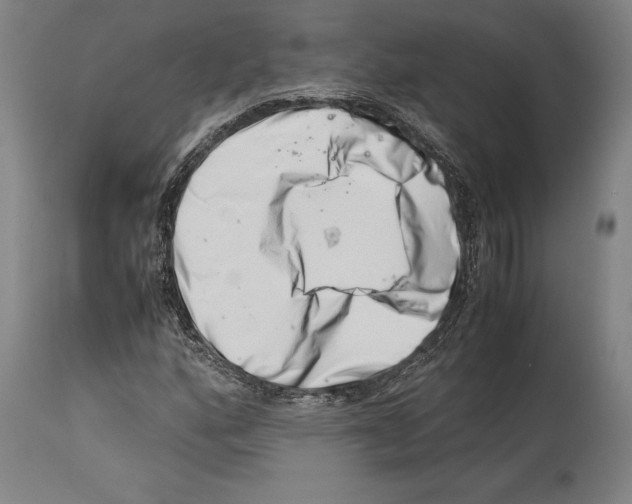 X0000113991160200911131111