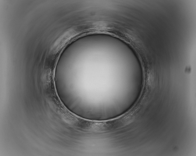 X0000113991161200911131111