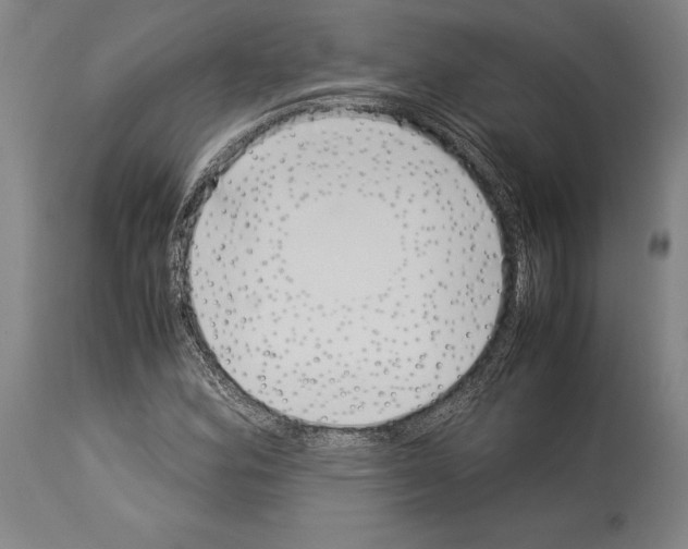 X0000113991164200911131111