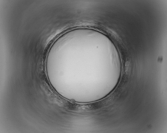 X0000113991165200911131111