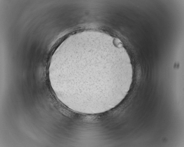 X0000113991166200911131111