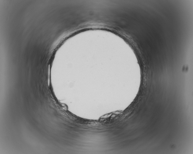 X0000113991175200911131111