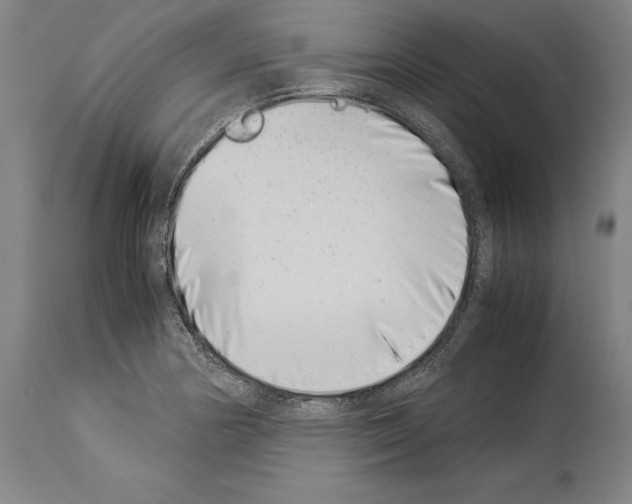 X0000113991178200911131111