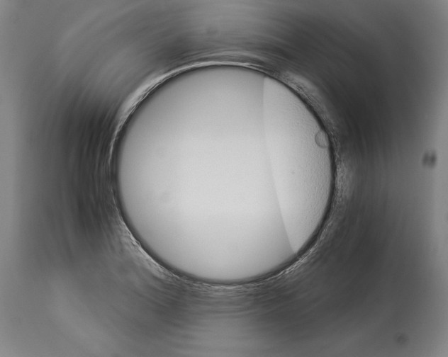 X0000113991180200911131111