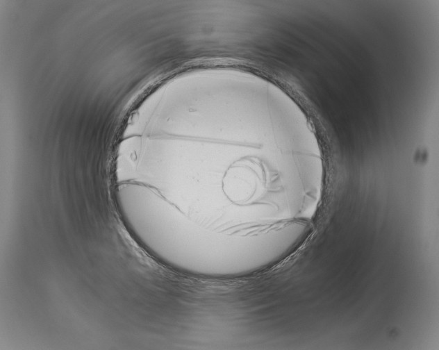 X0000113991181200911131111