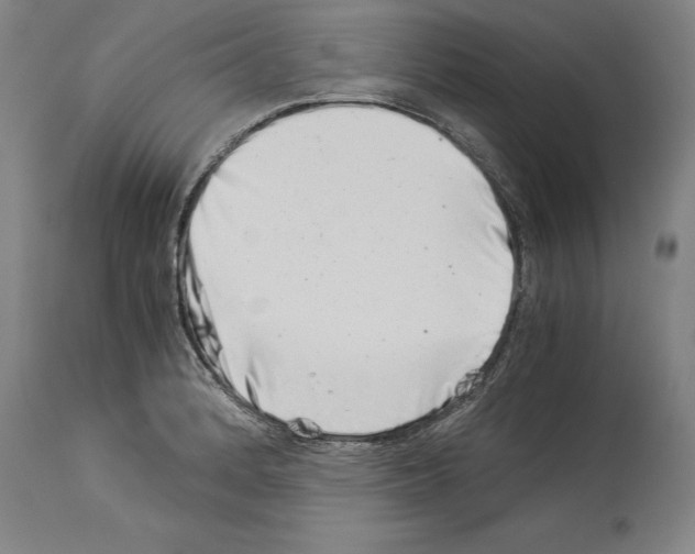 X0000113991184200911131111