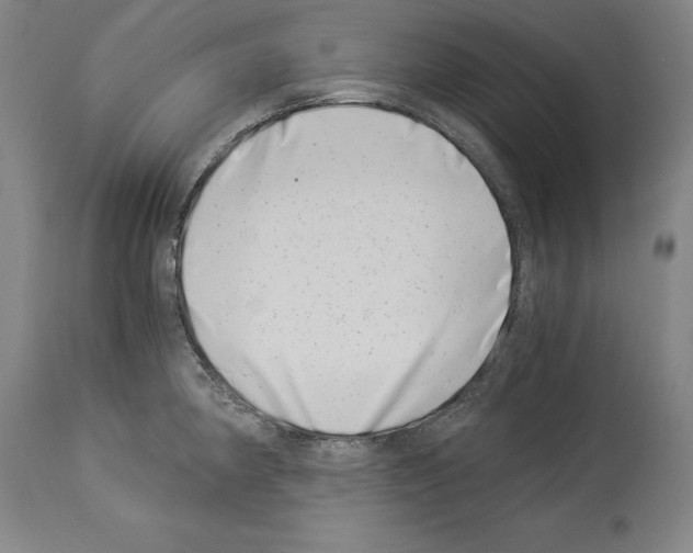 X0000113991190200911131111