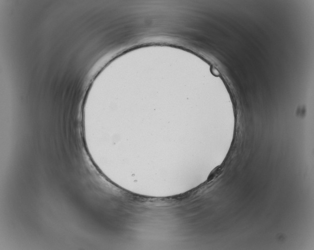 X0000113991199200911131111