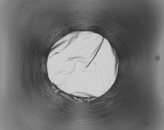 X0000113991202200911131110