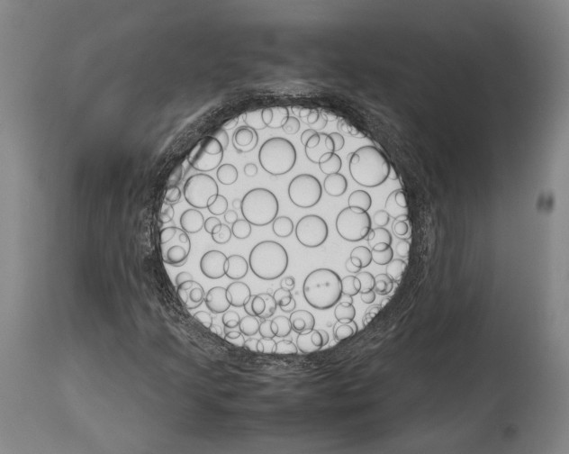 X0000113991205200911131110