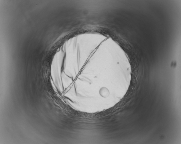 X0000113991206200911131110