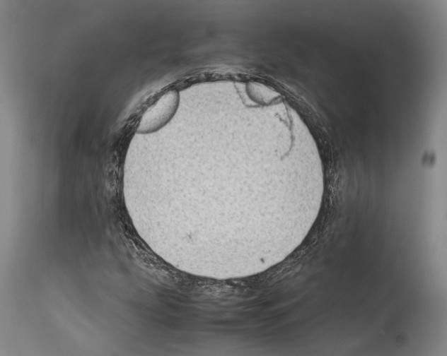 X0000113991207200911131110