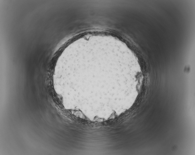 X0000113991208200911131110