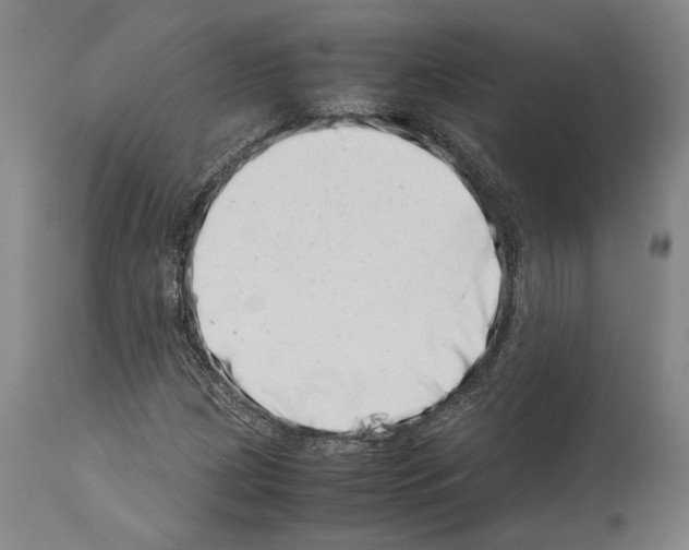 X0000113991209200911131110