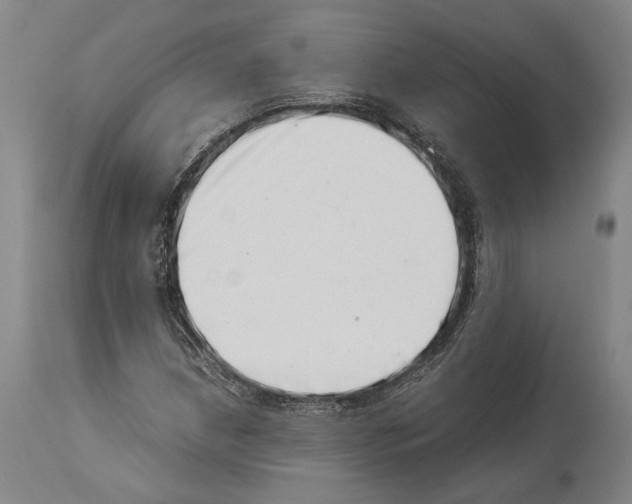 X0000113991210200911131110