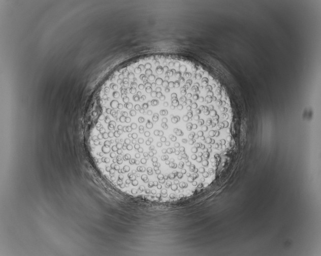 X0000113991212200911131110