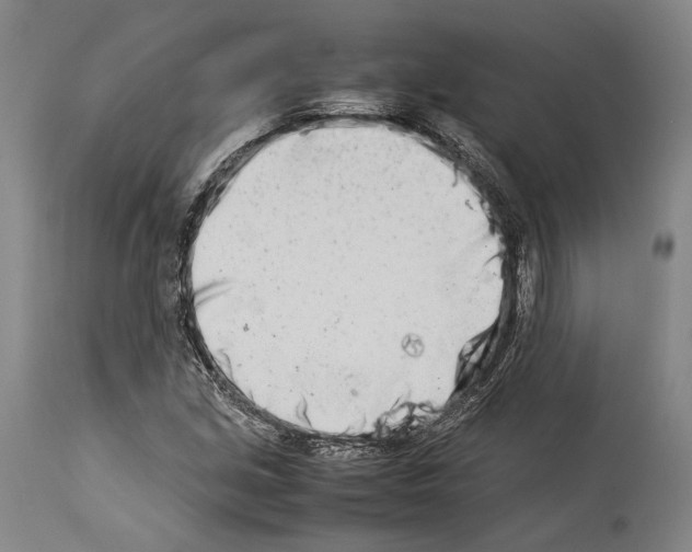 X0000113991213200911131110