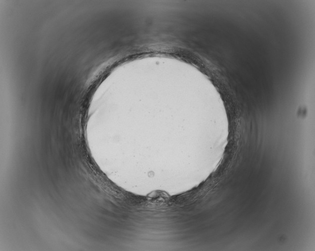 X0000113991214200911131110