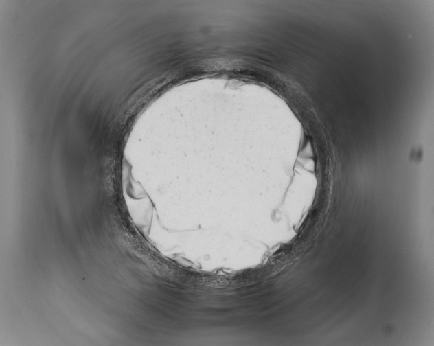 X0000113991217200911131110