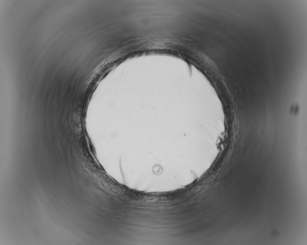 X0000113991218200911131110