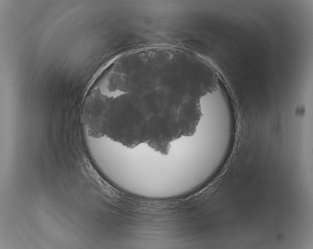 X0000113991220200911131110