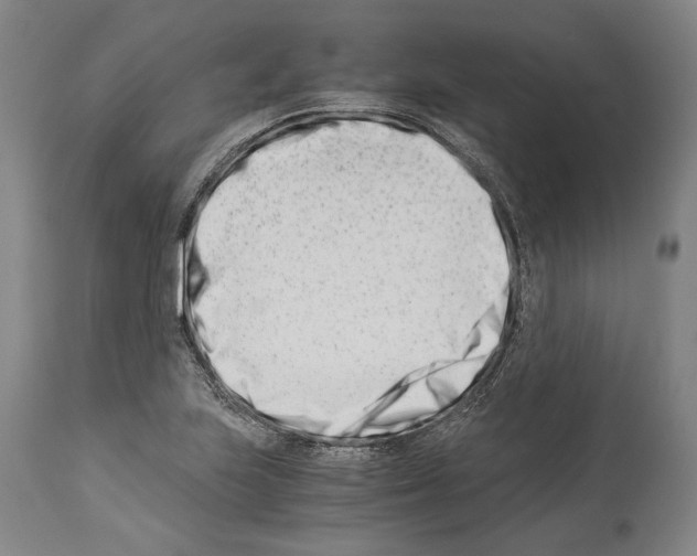 X0000113991223200911131110