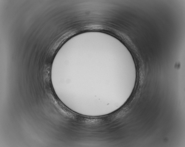 X0000113991225200911131110