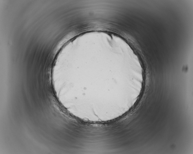 X0000113991226200911131110