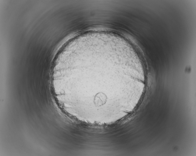 X0000113991229200911131110