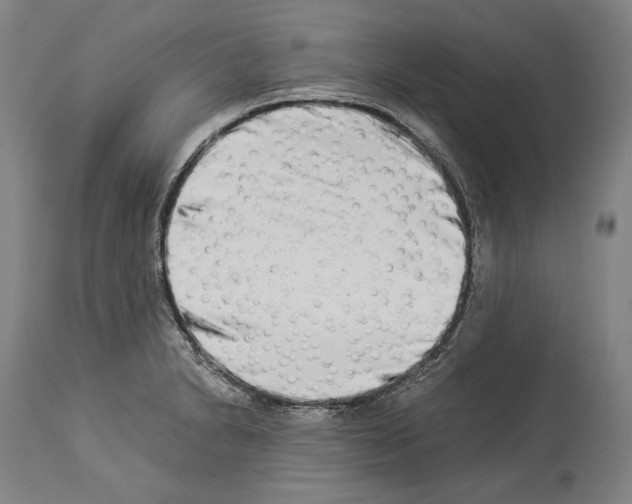 X0000113991230200911131110