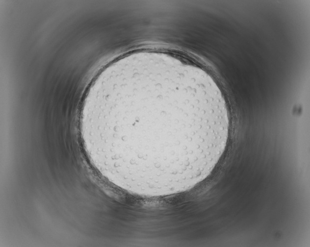 X0000113991231200911131110