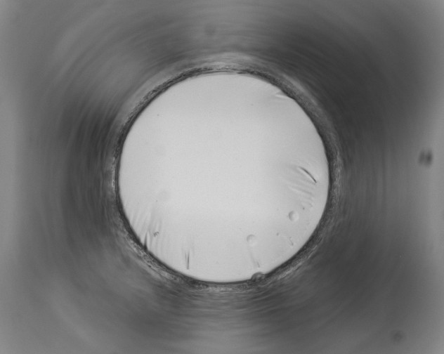 X0000113991232200911131110