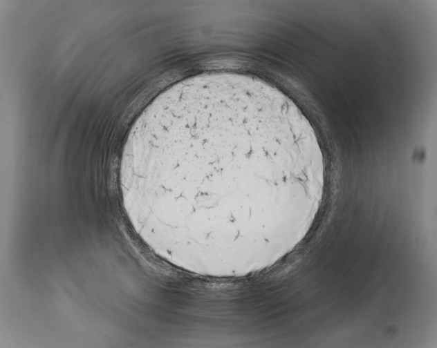 X0000113991233200911131110