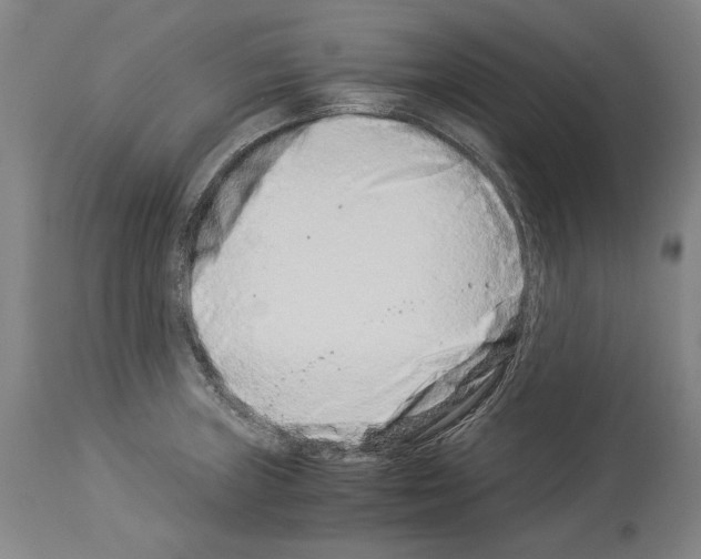 X0000113991235200911131110