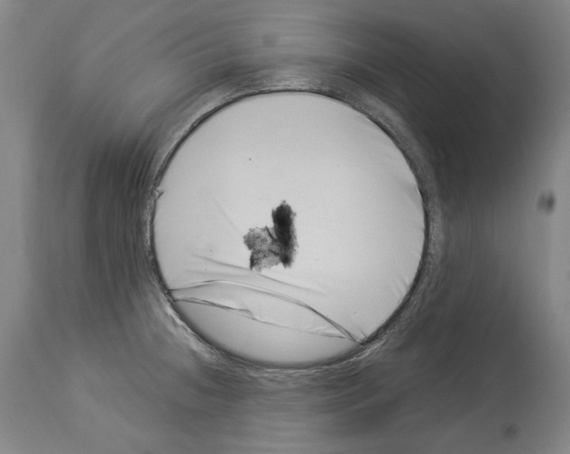 X0000113991236200911131110