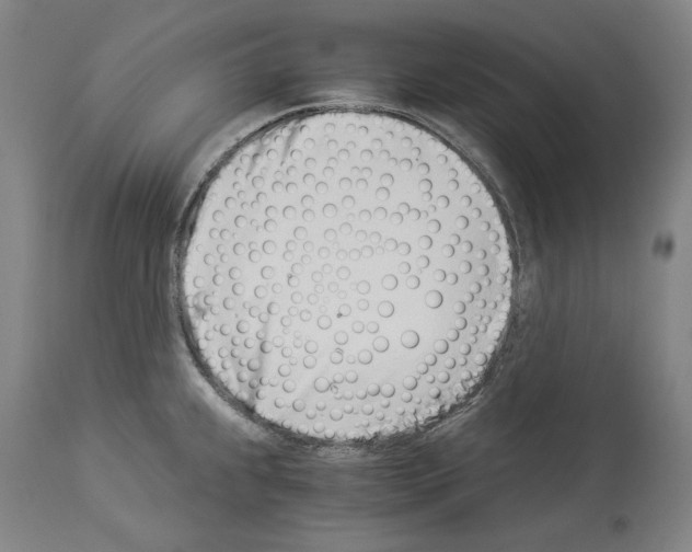 X0000113991239200911131111