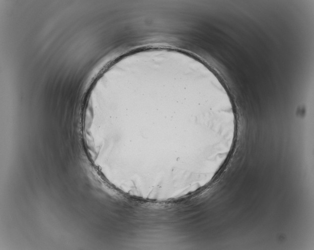 X0000113991240200911131111