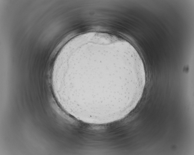 X0000113991243200911131111