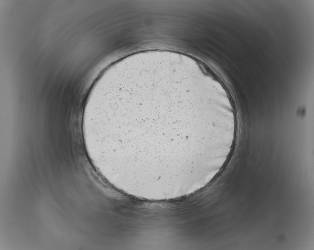 X0000113991246200911131111