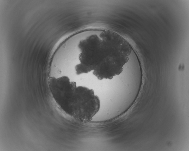 X0000113991248200911131111